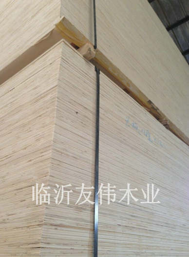 異形托盤板不可貌相，發(fā)展前景不可限量